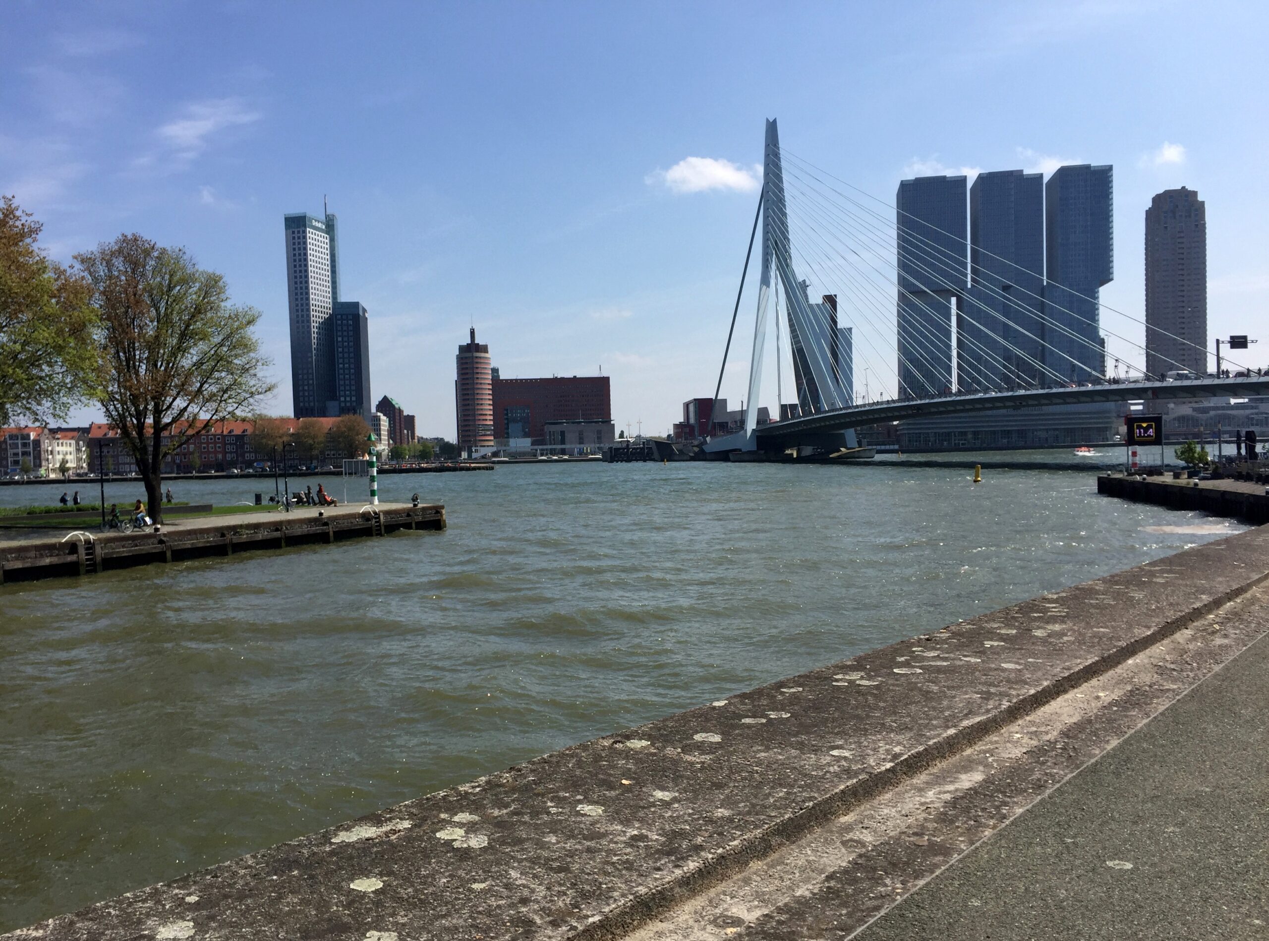 Dagje Rotterdam Leuvehoofd Uitzicht